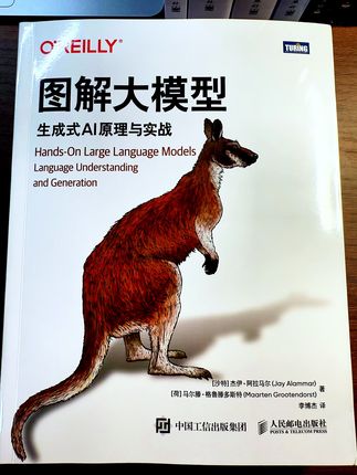 大模型全知识看这一本!12章从词元讲到多模态应用,18幅图解透DeepSeek-R1,AI探索者必备!#大模型 #大语言模型 #人工智能 #技术 #进阶