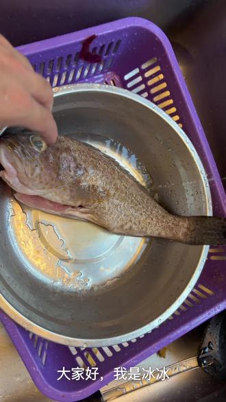 #冰冰的厨房 粤菜 广式蒸石斑鱼
