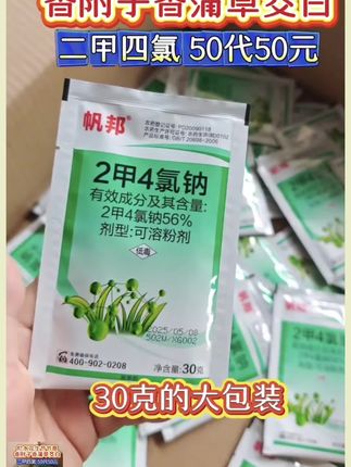二甲四氯30克50袋50元出阔叶草及莎草科杂草 #农业种植#节节草如何除 #香附子除草剂 #田埂除草#水稻种植