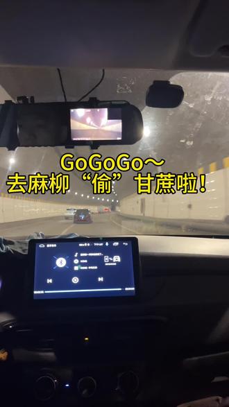 全网都在“偷”甘蔗,我们怎么能缺席🤣#偷甘蔗 #一群人的狂欢