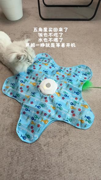 自从买了这个五角星玩具,充电的时候我家猫都在旁边等着玩 #养宠好物分享 #猫咪玩具推荐