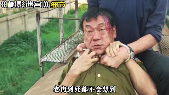 死都不会想到#树影迷宫 #显微镜看树影迷宫