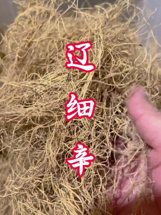 别认错!这株“东北小药王”藏着大能量。野生辽细辛, 手工去头去泥沙 ,味道浓郁。它能帮身体驱散寒湿,平时和其他药材搭配,在调理风寒相关问题上超给力~不过要记牢!辽细辛虽好,必须在专业指导下使用,可不能自己随便用哦~ #中药小知识 #辽细辛 #传统药材#中药材