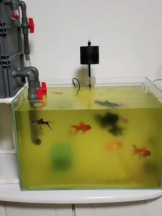 家里爱养鱼的不想经常换水就用它#水族用品 #净水剂 #养鱼