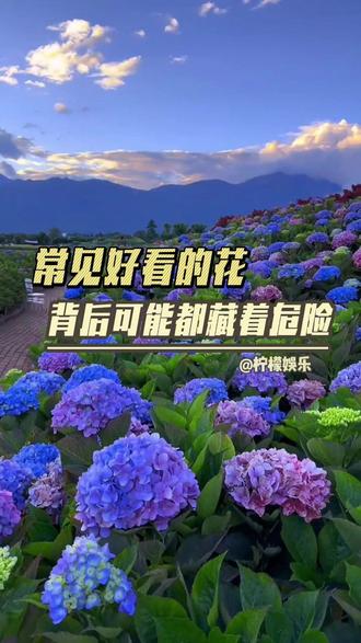 越美丽的东西越危险,这句话放在植物界也同样适用 #植物 #科普 #春游 #赏花 #万万没想到