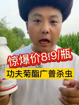 功夫菊酯降价啦 见虫就杀,高效氯氟氰菊脂,一打一个准 #地上地下害虫通杀 #杀虫剂 #高效氯氟氰菊酯 #抗性害虫防治