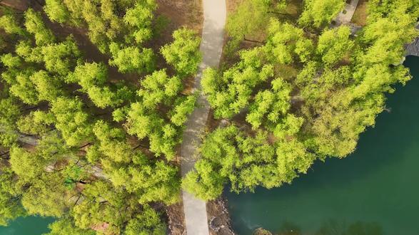 到另一颗心栖息的地方-岐山湖#岐山湖风景区