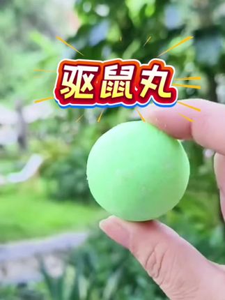 【强力驱鼠丸】驱虫驱鼠室內灭鼠器商用餐饮店超市神器虫鼠驱避丸#车上有老鼠怎么办#发动机舱进老鼠 #家里有老鼠#厨房有老鼠怎么办 #如何赶走老鼠