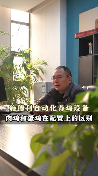 施德利自动化养鸡设备:肉鸡笼和蛋鸡笼的区别有哪些? #菏泽养鸡设备#常德养鸡设备#养鸡设备批发#养鸡设备厂家供货#养鸡设备生产供应
