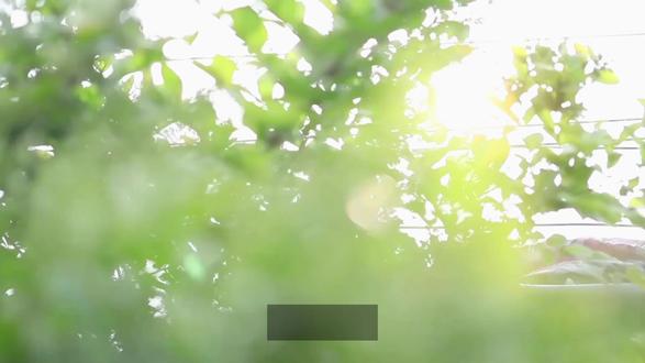 #沪教版小学英语 There be 句型