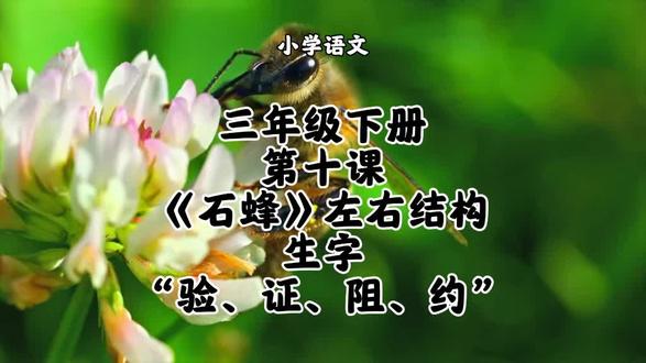 小学语文三年级下册第十课《石蜂》左右结构生字“验、证、阻、约”字书写方法和要点讲解#小学语文#三年级下册语文#三年级下册语文同步生字#三年级下册语文预习