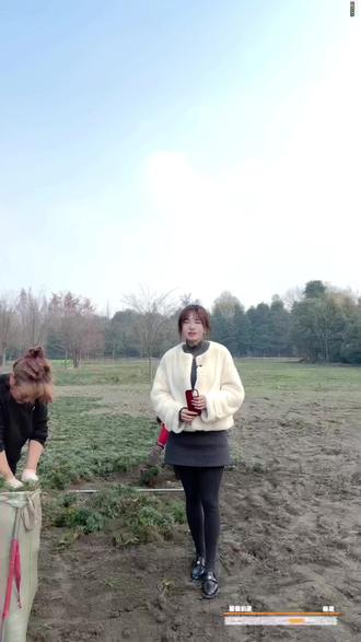 玉龙草#玉龙草 玉龙草生长及分生迅速,能很快在地面长成一片浓密的地毯状草皮,是极佳的庭院地被植物,基地大量有货#抖音农村人 #苗木种植基地