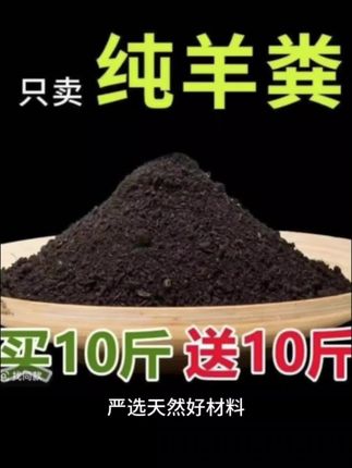 #农业种植 #种植 #家庭种植 #土壤改良 #羊粪肥