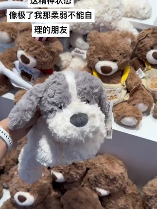 哈哈哈!遇到一只摆烂的小狗#毛绒玩具 #毛绒公仔 #摆烂日常 #强烈推荐