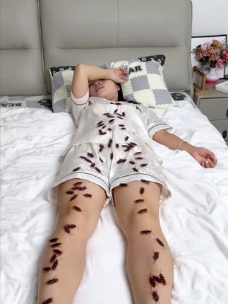 比蚊子苍蝇还招人烦的生物非蟑螂莫属了,不敢相信我家竟然有那么多,这个蟑螂神器是我用过比较有效的一款了#除蟑螂