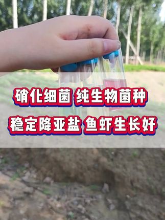 高密度投料多#亚盐超标 #亚盐#鱼耀硝化细菌#水产养殖技术 #小棚养虾