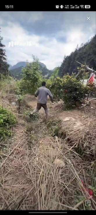 1号选手寻梦队友小土豆已被完全驯服,跟着寻梦打野以及寻梦一呼唤就知道自己回家#户外建哥 #户外建弟 #我和我的猪队友