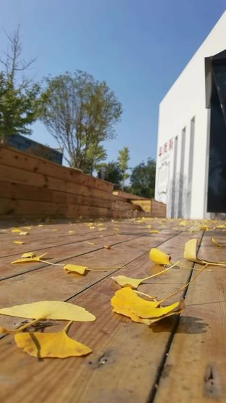 原来逃离城市喧嚣
#只需要一场说走就走的山林漫步~