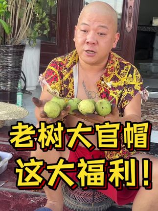 #文玩爱好者 #文玩核桃 #文玩人 #开青皮