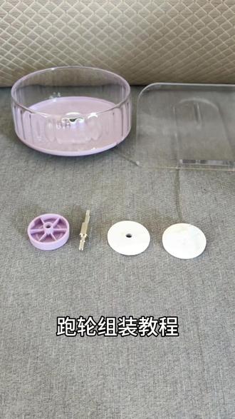 仓鼠跑轮 仓鼠跑轮23cm超静音大号滚轮造景仓鼠玩具金丝熊笼子用品跑步机#金丝熊玩具 #仓鼠娱乐 #宠物玩具 #仓鼠跑轮 #超静音