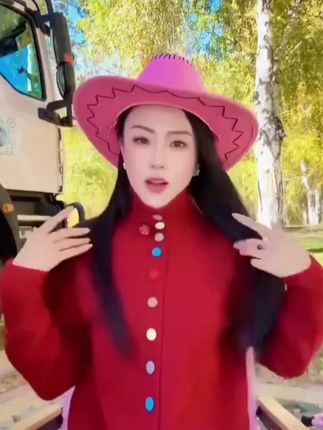 2025秋款腊肠狗刺绣连帽套装8352 Q
