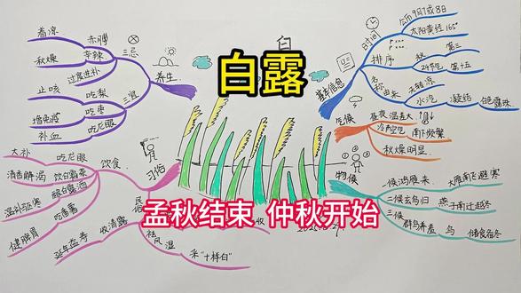 《白露》 思维导图 很快就要到白露节气了
天气终于不那么热了
渐渐凉了下来
在这个冷热变换的节气里
我们要注意些什么呢
白露节气又有什么传统习俗呢
我们带着疑问往下看吧!
白露是二十四节气之第十五个节气
秋季的第三个节气
标志孟秋结束、仲秋开始
时间是公历9月7日或8日
太阳黄经达165°
那么白露名称是怎么由来的呢
天气转凉,水汽凝结成白色露珠
这就是白露的由来
白露过后
•昼夜温差大:
冷空气南下频繁
俗话说得好“白露秋风夜,一夜凉一夜”
并且秋燥明显:空气干燥
易引发口干、皮肤干裂
唇膏需要翻出来了
白露有三候
一候鸿雁来:大雁南飞避寒
二候玄鸟归:燕子南迁越冬
三候群鸟养羞:鸟类储食备冬(“羞”同“馐”)
那么白露有哪些传统习俗呢
对于饮食方面
可以吃龙眼(福州)寓意大补,补脾养血
饮白露茶(南京)它甘醇清香,润燥解渴
酿白露米酒(苏浙)它可以温补驱寒
吃番薯/白露糕:帮助我们健脾胃,防胃酸
民俗活动包括
收清露:古人认为可延年益寿、美容养颜
祭禹王(太湖地区):祈求渔业丰收
采“十样白”(浙江):十种白色草药炖鸡鸭,祛风湿
对于养生有什么要注意的呢
三件事不要做
忌赤膊(防着凉)
忌辛辣(防秋燥)
忌过度进补(宜清补)
三件事推荐做
宜吃梨它可以润肺止咳
宜吃枣它可以增强免疫力
宜吃龙眼它可以安神补血