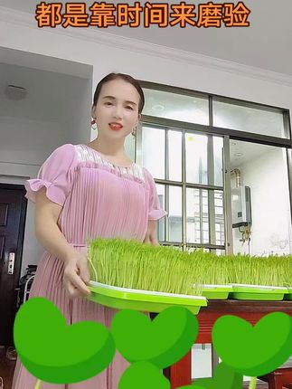 很多朋友经常问我在哪里学的技术!大家把前面俩个视频看完就知道 !