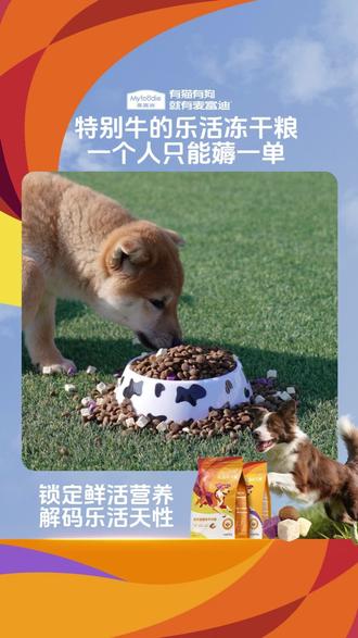 哇!这个试吃不要真的亏,大块冻干狗狗超爱吃#狗狗肠胃不好 #新手养狗 #狗狗软便 #狗狗挑食 #狗狗口臭