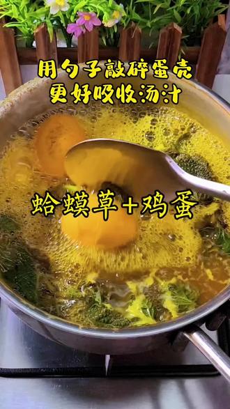 蛤蟆草+鸡蛋 #食疗小妙招