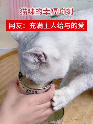 属于猫咪的幸福时刻#记录宠物的日常生活 #吃货猫 #萌宠