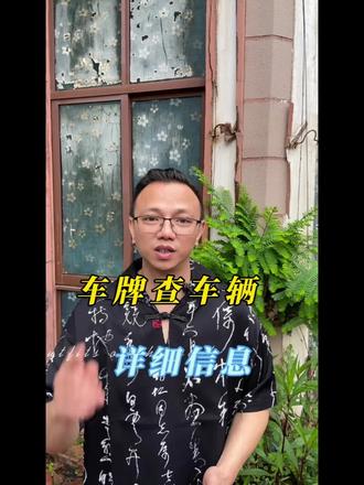 车牌查车辆信息#二手车市场#车辆知识#查车指南