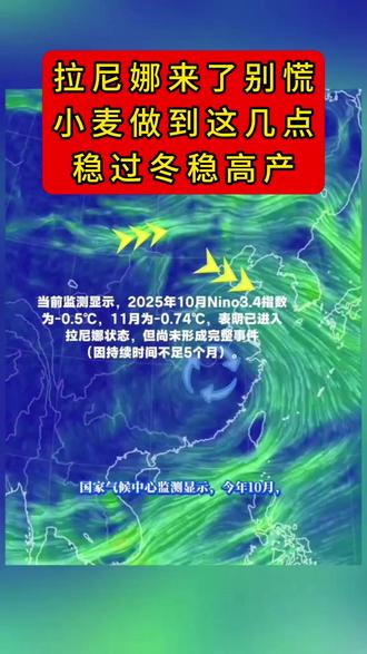 拉尼娜来了不用慌 小麦这样管,过冬稳高产! #小麦管理技术 #小麦种植 #三农 #服务三农支持三农 #拉尼娜或即将降临地球