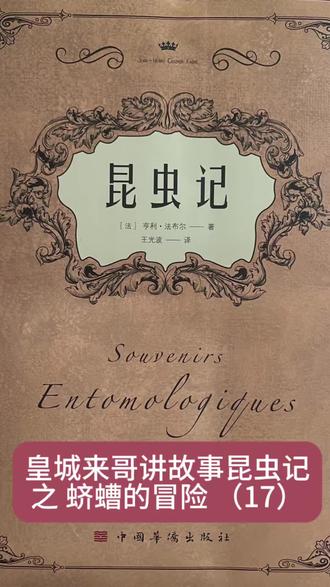 皇城来哥讲故事:昆虫记之蛴螬的冒险(17)