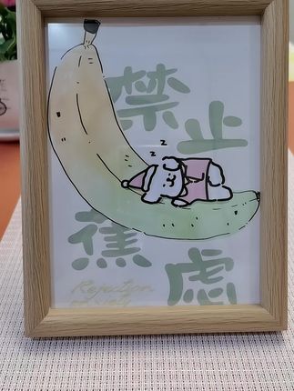 #禁止焦虑#摆件#实用#美观#自用