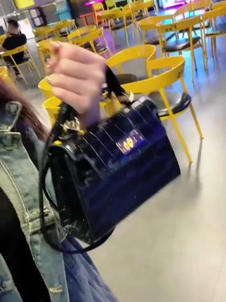 爆款小包包2025新款潮高级感单肩女包斜挎百搭ins洋气凯莉