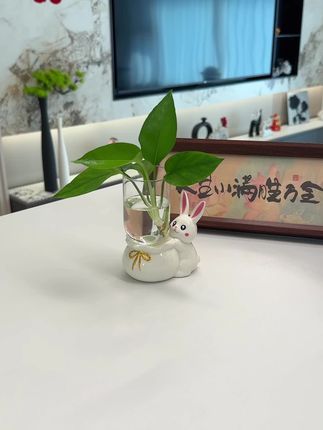 陶瓷的小白兔水培摆件,家居桌面,办公桌面,可以用来放绿萝等水培植物,耳朵竖起来可可爱爱的花瓶,摆在家中不仅美观,还特别温馨治愈#水培摆件 #创意水培摆件 #水培植物