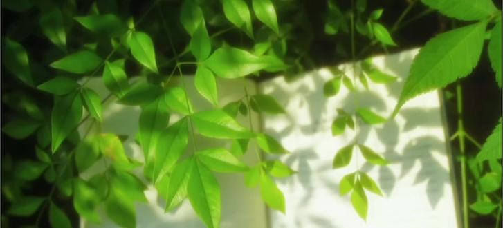 小小过渡一下准备小情侣甜蜜行~#豚馒 #橹穆广播剧 #重回心选哥的高中时代