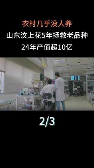 农村几乎没人养,山东汶上花5年拯救“老品种”,24年产值超10亿#科普一下#大国重器#科普#芦花鸡