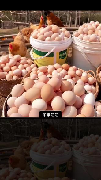 鸡蛋检查出了角黄素 #热点新闻事件 #零距离看懂财经