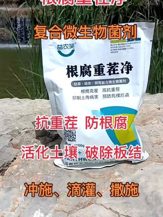 根腐重茬净,抑制土壤中的真菌、细菌和线虫等致病菌,减少根腐病的发生。 在植物根部形成保护膜,防止有害菌的侵袭。 促进根系的发达和健康,增强植物的抗逆性。 有效预防土传性病害,如重茬、死棵、烂苗、根腐等。 改善土壤环境,调节土壤酸碱度,缓解土壤板结、盐渍化等问题。 提高土壤肥力,促进土壤有益菌的生长,增强肥效。 提升植物的免疫力,促进植物的健康生长,提高产量和品质。#服务三农支持三农