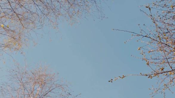 春假,赏花+恋爱 别赶路,去感受路;别只学习/工作,去赏花,去恋爱!
#清明假期 #春假 #赏花 #大自然