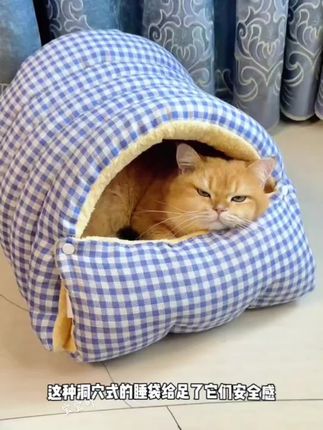 猫窝秋冬降温保暖封闭式安全感睡袋家庭房屋可拆洗猫窝四季通用#猫窝 #四季通用 #养猫新手 #小奶猫