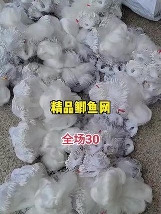 #粘网 #鲫鱼#鱼网 丝网##鲫鱼网 0.08线鲫鱼网
