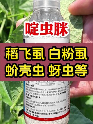 #啶虫脒 #三农 #抖音助农 #病虫害防治 #服务三农支持三农