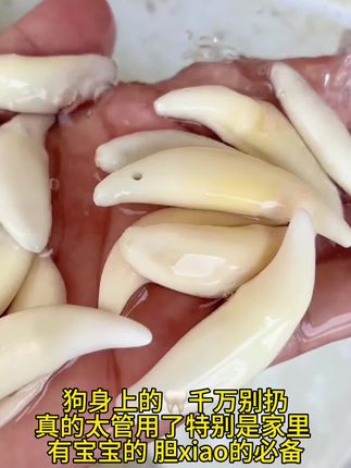 宝宝出门戴上这个红绳,宝宝安心,妈妈放心#红绳#狗牙 #狗牙红绳