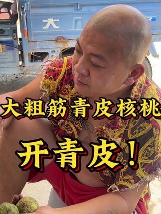 #文玩爱好者 #开青皮核桃 #青皮核桃 #文玩核桃