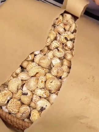 #爆米花 #老式爆米花 #爆米花推荐