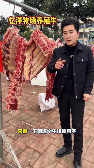 爱心助农行动新鲜牛肉才28一斤,太便宜了不要错过哦!#养殖 #牧场 #牛肉 #牛 #同城好店推荐