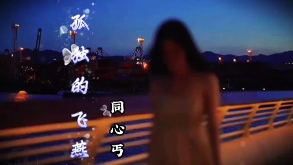 #抖音伤感情歌分享 《孤独的飞雁》演唱同心丐#伤感又好听 #创作者中心 #创作灵感