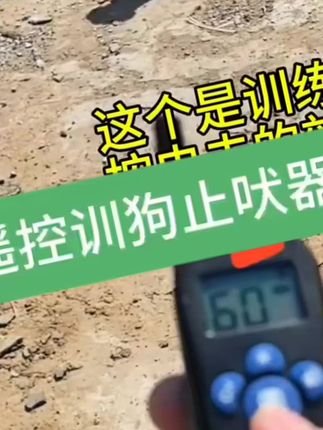 电项圈训狗防狗叫止吠器电击项圈对讲训狗器1000米/500米调节语音